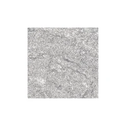 Apollca - Pigment - Silver Shine 04 - 2g