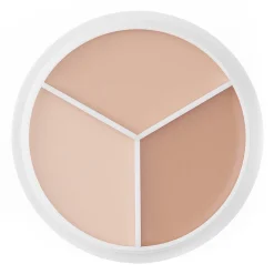 TFIT - Cover Up Pro Concealer Palette - Paleta Korektorów do Twarzy - Neutral - 10g