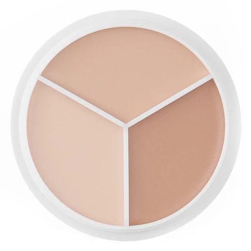 TFIT - Cover Up Pro Concealer Palette - Paleta Korektorów do Twarzy - Neutral - 10g