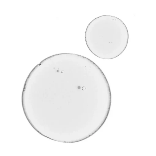 The Ordinary - Balancing & Clarifying Serum - Oczyszczająco Balansujące Serum - 30ml